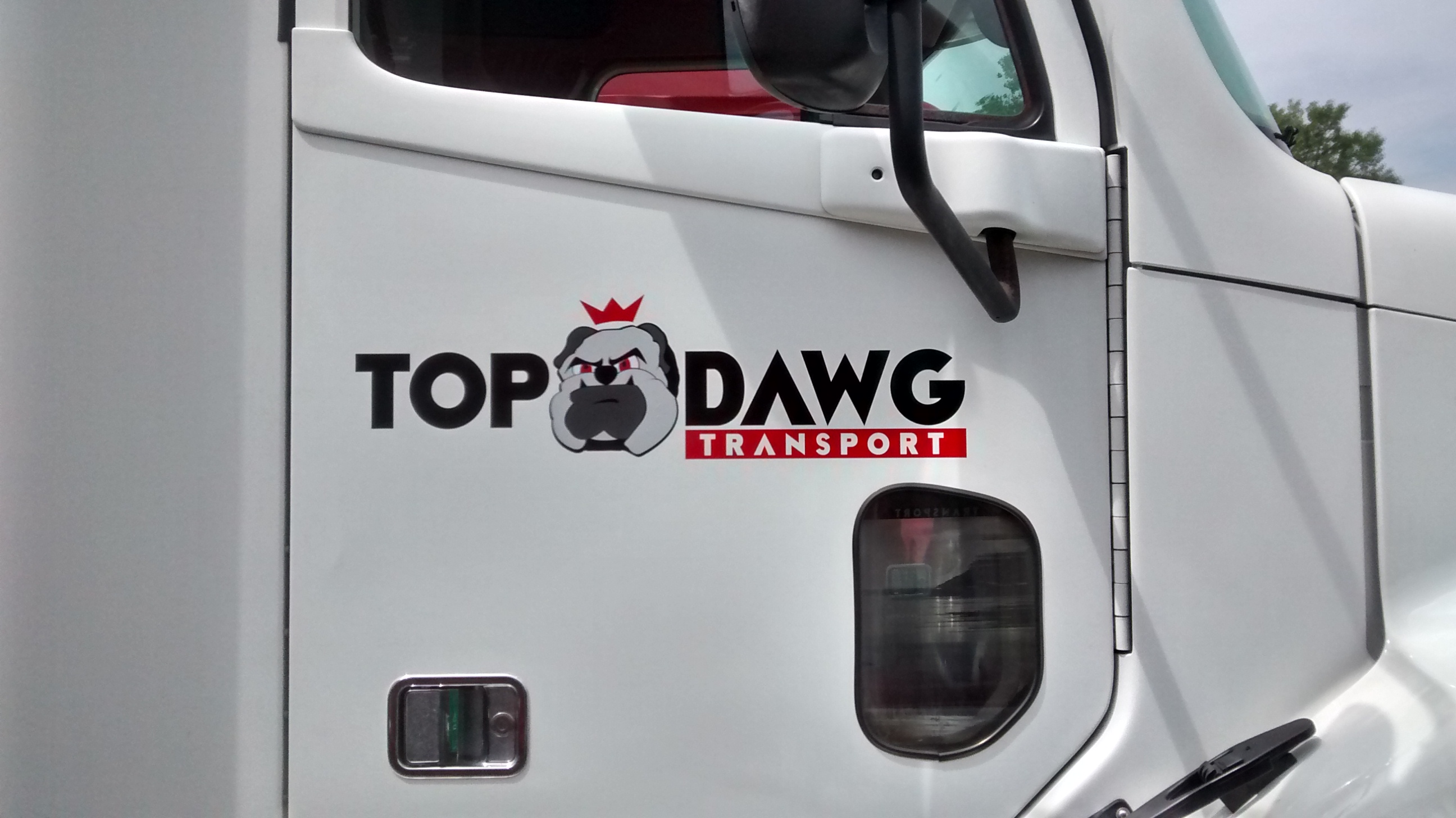 vehicle graphics